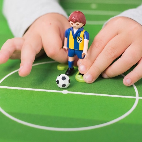 occupational therapy development