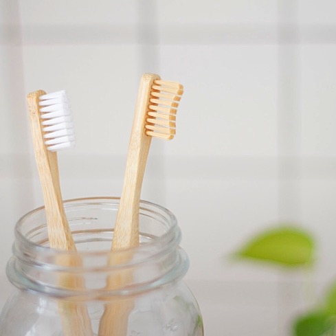 occupational therapy development